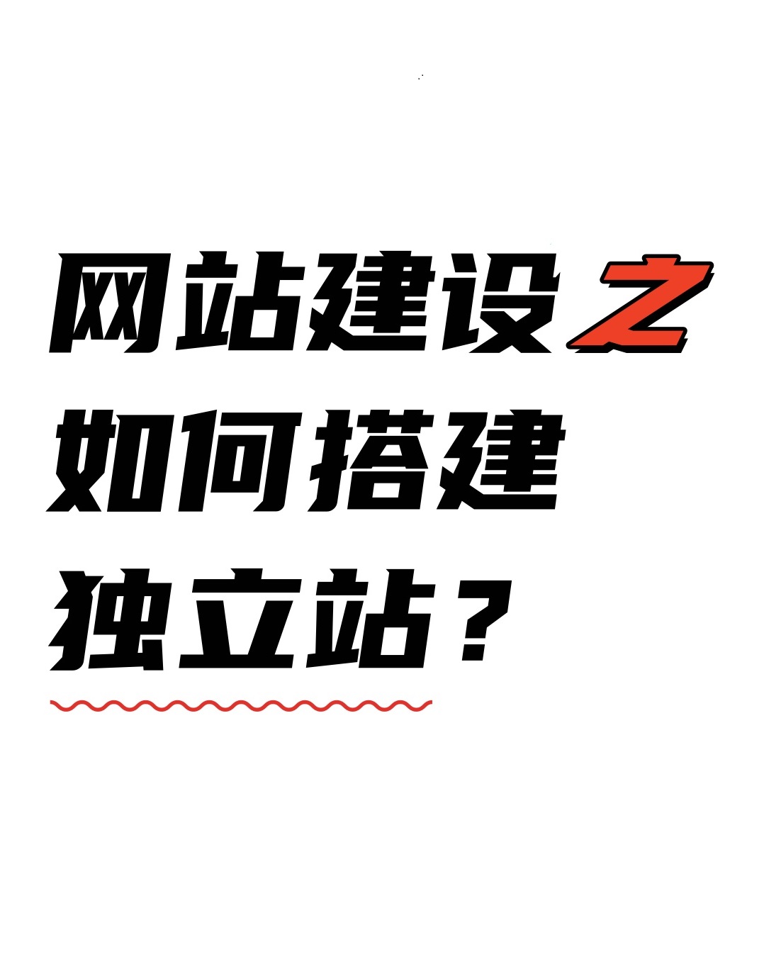 睿智創(chuàng)新RAIZ，一體化IT服務提供商