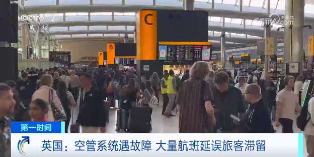 睿智創新RAIZ，一體化IT服務提供商